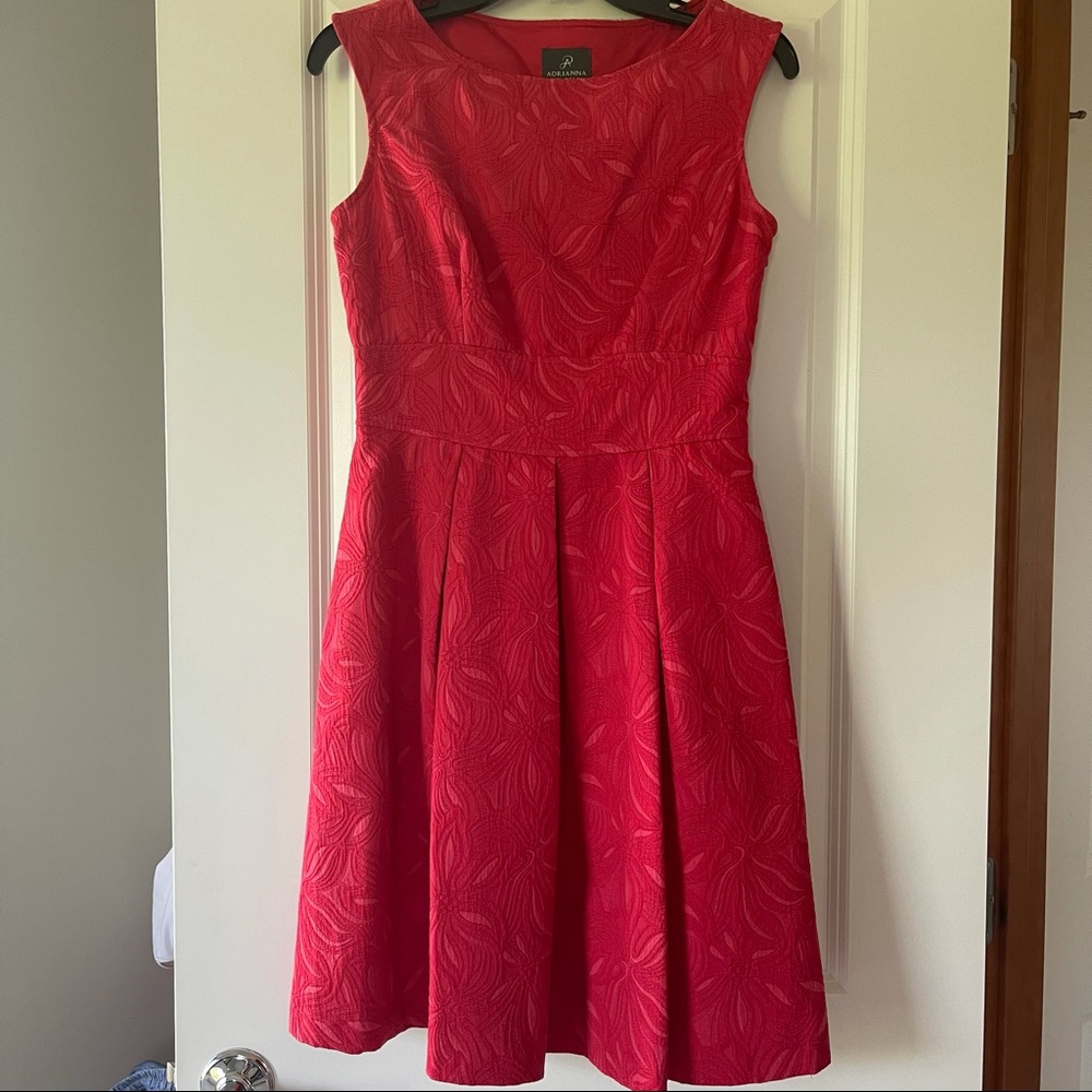 Beautiful Adrianna Papell Pleated Dress